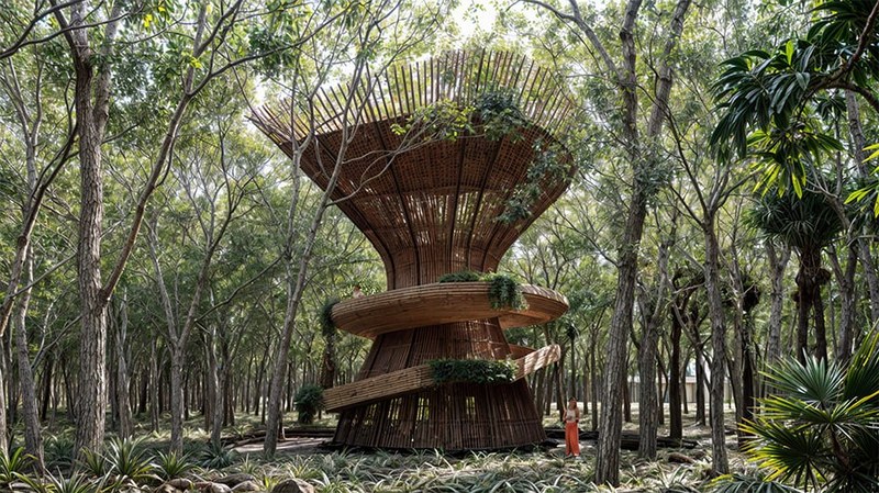 BALANNCE — Mirador en la naturaleza